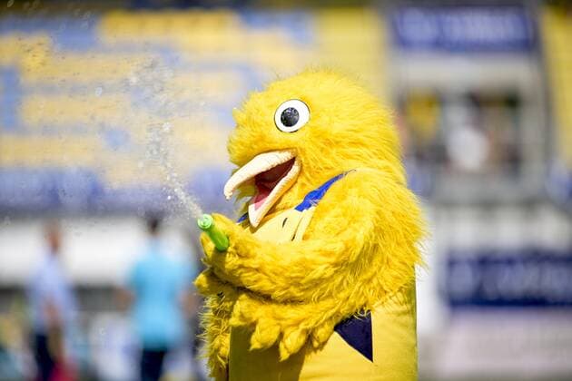 Sport Themen der Woche KW32 SINT-TRUIDEN, BELGIUM - AUGUST 14 : Mascot os STVV during the Jupiler Pro League match between Sint-Truidense VV and RSC Anderlecht on August 14, 2022 in Sint-Truiden, BELGIUM, 14 08 2022 ( Sint-Truidense VV v RSC Anderlecht - Jupiler Pro League PhotoNews Panoramic 