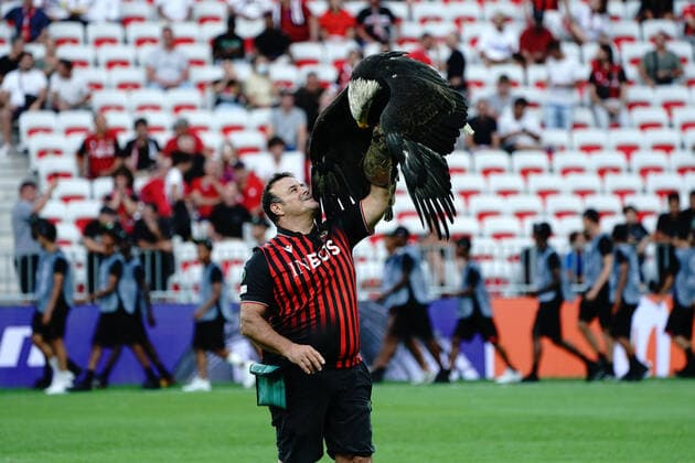 L™aigle Mefi FOOTBALL : OGC Nice vs FC Cologne - Ligue Europa ConfÃ rence - Nice - 08 09 2022 NorbertScanella Panoramic 