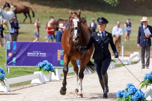 PRATONI - FEI Eventing World Championship, WM, Weltmeisterschaft 2022, PRATONI - FEI Eventing World Championship 2022 KRAJEWSKI Julia (GER), Amande de B Neville 1st Horse Inspection Vet-Check Pratoni de Vivaro, Centro Equestre Federale 14. September 2022 - *** PRATONI FEI Eventing World Championship 2022, PRATONI FEI Eventing World Championship 2022 KRAJEWSKI Julia GER , Amande de B Neville 1st Horse Inspection Vet Check Pratoni de Vivaro, Centro Equestre Federale 14 September 2022