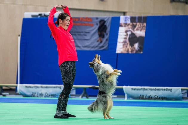 Sport Themen der Woche KW39 Sport Bilder des Tages 220929 team Hungary during training session at Open European HTM & Freestyle Championship on September 29, 2022 in Burgum, Netherlands. Photo: Magnus Lejhall BILDBYRAN COP 214 MH0082 dogdance hundsport open european championships htm freestyle championship bbeng oec heelwork to music heelwork freestyle dog dogdancing dogtraining dogcompetion hundtävling hundträning hunddans *** 220929 team Hungary during training session at Open European HTM Freestyle Championship on September 29, 2022 in Burgum, Netherlands Photo Magnus Lejhall BILDBYRAN COP 214 MH0082 dogdance hundsport open european championships htm freestyle championship bbeng oec heelwork to music heelwork freestyle dog dogdancing dogtraining dogcompetion hundtävling hundträning hunddans,  Copyright: MagnusxLejhall BB220929MH076