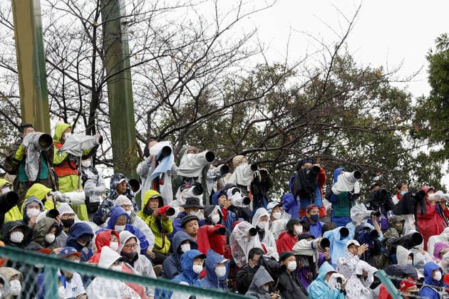 Fans in the grandstand during the Formula 1 Honda Japense Grand Prix 2022, 18th round of the 2022 FIA Formula One World Championship, WM, Weltmeisterschaft from Octobre 7 to 9, 2022 on the Suzuka International Racing Course, in Suzuka, Mie Prefecture, Japan - F1 - JAPANESE GRAND PRIX 2022 DPPI Panoramic  F12022GP18JAP_JK145709
