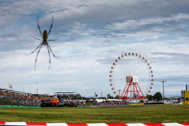11 Sergio Perez (MEX, Oracle Red Bull Racing), F1 Grand Prix of Japan at Suzuka International Racing Course on October 8, 2022 in Suzuka, Japan. (Photo by HOCH ZWEI) Suzuka Japan