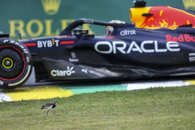 01 VERSTAPPEN Max (nld), Red Bull Racing RB18, action during the Formula 1 Heineken Grande Premio de Sao Paulo 2022, Sao Paulo Grand Prix Grand Prix 2022, 21st round of the 2022 FIA Formula One World Championship, WM, Weltmeisterschaft from November 11 to 13, 2022 on the Interlagos Circuit, in Sao Paulo, Brazil - F1 - SAO PAULO GRAND PRIX 2022 DPPI Panoramic  GOOD4485