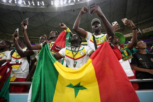 Mandatory Credit: Photo by Michael Zemanek Shutterstock (13626368y) Senegal fans Senegal v Netherlands, FIFA World Cup, WM, Weltmeisterschaft, Fussball 2022, Group A, Football, Al Thumama Stadium, Doha, Qatar - 21 Nov 2022 Editorial Use Only Senegal v Netherlands, FIFA World Cup 2022, Group A, Football, Al Thumama Stadium, Doha, Qatar - 21 Nov 2022 Editorial Use Only  Copyright: xMichaelxZemanek Shutterstockx 13626368y