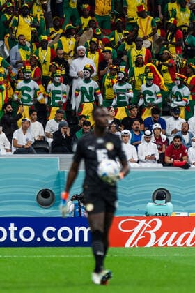AL KHOR, - DECEMBER 04: Senegal fans with Senegal painted on their body™s during the round of 16 match of the 2022 FIFA World Cup, WM, Weltmeisterschaft, Fussball in Qatar between England and Senegal on December 4, 2022, at Al Bayt Stadium in Al Khor, Qatar. (Photo by Richard Gordon Icon Sportswire) SOCCER: DEC 04 FIFA World Cup - Senegal v England Icon2212041270