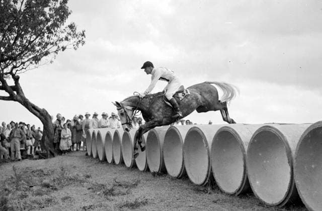 Olympic Games, Olympische Spiele, Olympia, OS Rome: Michael Bullen (37) on Cottage Romance during Cross Country at Olympic Games in Rome. 10 September 1960 Italy  Copyright: xTopFotox 0720672