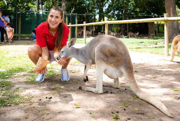 Sport Themen der Woche KW52 Sport Bilder des Tages December 31, 2022, BRISBANE, AUSTRALIA: Belinda Bencic of Switzerland visits Lone Pine Koala Sanctuary during the 2023 United Cup Brisbane tennis tournament BRISBANE AUSTRALIA - ZUMAa181 20221231_zaa_a181_093 Copyright: xRobxPrangex