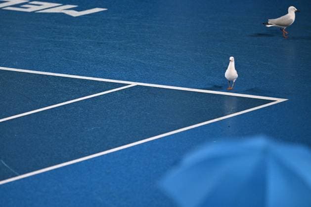 TENNIS AUSTRALIAN OPEN, Seagulls are seen during a rain delay during the 2023 Australian Open tennis tournament at Melbourne Park in Melbourne, Tuesday, January 17, 2023. ( NO ARCHIVING, EDITORIAL USE ONLY, NO USE IN BOOKS WITHOUT CONSENT MELBOURNE VICTORIA AUSTRALIA  Copyright: xJAMESxROSSx 20230118001753522746