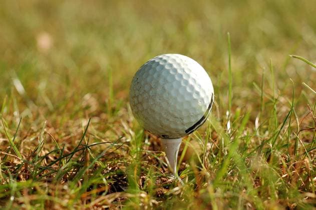 golf ball in grass golf ball in grass (License=RF) 3383836 Copyright: xZoonar.com IaroslavxDanylchenkox 3383836