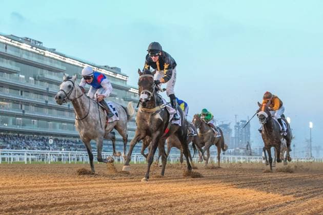 Sport Themen der Woche KW07 Sport Bilder des Tages Mandatory Credit: Photo by Cedric Lane Shutterstock (13769125ad) AF ALMOMAYAZ (AE) ridden by Adrie De Vries wins the 8F Group 2 Mazrat Al Ruwayah, race 1, at Meydan Dubai World Cup Carnival. Horse Racing, Meydan, Dubai, United Arab Emirates - 17 Feb 2023 2023 Dubai World Cup Carnival Meeting, flat racing turf & dirt surfaces, 6 Thoroughbred races & 1 Purebred Arabian race. Horse Racing, Meydan, Dubai, United Arab Emirates - 17 Feb 2023  Copyright: xCedricxLane Shutterstockx 13769125ad