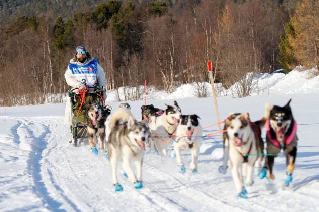 Sport Themen der Woche KW10 Sport Bilder des Tages Finnmarkslopet Alta 20230310. Roger Fossoy fra Norge i loypa ved Sorrisniva pa forste dag av det 1200 km lange hundelopet Finnmarkslopet. Starten gikk fra gagata i Alta sentrum fredag. Foto: Jan Langhaug NTB Alta Norge EDITORIAL USE ONLY. RESTRICTED USE FOR BETTING COMPANIES Ref:_SPOcyhDQEeEd6k.jpg *** Finnmarkslopet Alta 20230310 Roger Fossoy from Norway on the trail at Sorrisniva on the first day of the 1,200 km Finnmarkslopet dog race The start was from Gagata in the center of Alta on Friday Photo Jan Langhaug NTB Alta Norge EDITORIAL USE ONLY RESTRICTED USE FOR BETTING COMPANIES  Copyright: xJanxLanghaugx xNTBx
