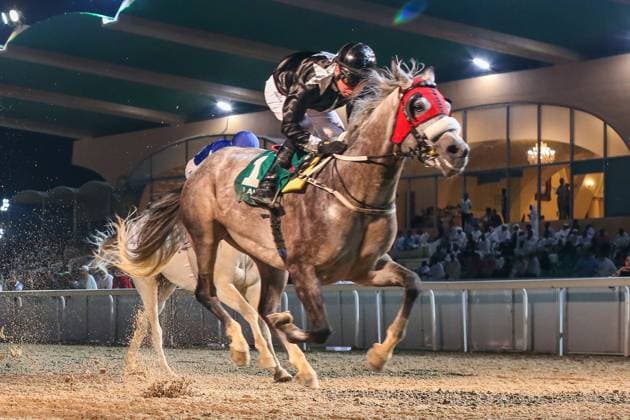 Sport Themen der Woche KW10 Sport Bilder des Tages Mandatory Credit: Photo by Cedric Lane Shutterstock (13797659an) AF AFHAM ridden by Tadhg O Shea wins the 7F Wathba Stallions Cup Handicap, race 6, at Al Ain, UAE Horse Racing, Al Ain, UAE - 10 Mar 2023 Domestic Meeting, flat racing dirt surface, 6 Arabian Pure Bred races and 1 Thoroughbred race Horse Racing, Al Ain, UAE - 10 Mar 2023  Copyright: xCedricxLane Shutterstockx 13797659an