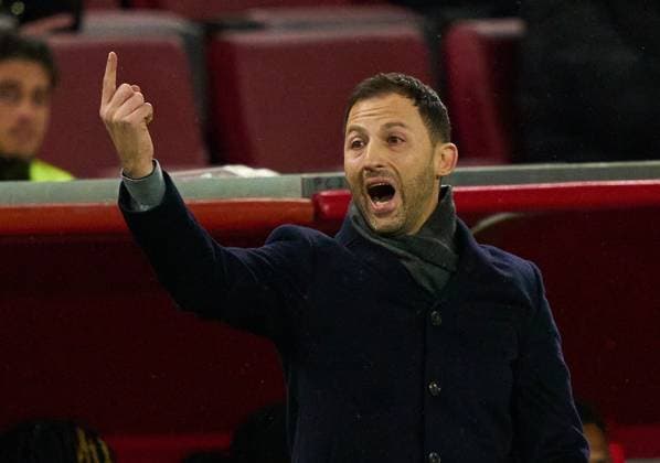 Sport Themen der Woche KW13 Sport Bilder des Tages coach Domenico Tedesco, Belgium headcoach, cheftrainer, in the friendly match GERMANY - BELGIUM Preparation for European Championships 2024 in Germany ,Season 2022 2023, on Mar 28, 2023 in Cologne, Köln, Germany.