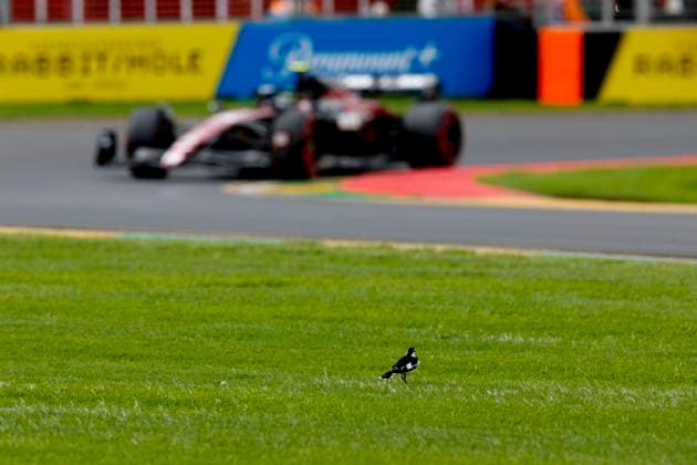 Sport Bilder des Tages 24 Guanyu Zhou (CHN, Alfa Romeo F1 Team Stake), F1 Grand Prix of Australia at Albert Park Circuit on April 1, 2023 in Melbourne, Australia. (Photo by HOCH ZWEI) Melbourne Australia