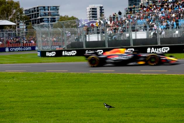 1 Max Verstappen (NLD, Oracle Red Bull Racing), F1 Grand Prix of Australia at Albert Park Circuit on April 1, 2023 in Melbourne, Australia. (Photo by HOCH ZWEI) Melbourne Australia
