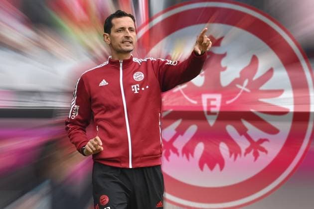 FOTOMONTAGE: Dino TOPPMOELLER im Visier von Eintracht Frankfurt als neuer Trainer. ARCHIVFOTO: Dino TOPPMOELLER (Co Trainer FCB), klatscht Applaus,Gestik, Einzelbild,angeschnittenes Einzelmotiv,Halbfigur,halbe Figur. Fussball 1. Bundesliga Saison 2021 2022, 9.Spieltag, Spieltag09. FC Bayern Muenchen-TSG 1899 Hoffenheim 4-0, am 23.10.2021, A L L I A N Z A R E N A Muenchen.