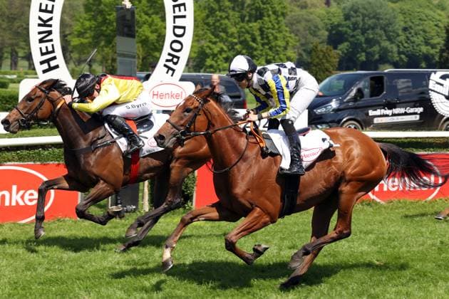 Sport Themen der Woche KW19 Sport Bilder des Tages 13.05.2023, Duesseldorf, Nordrhein-Westfalen, GER - Turfbeauty (links) mit Sean Byrne gewinnt. Galopprennbahn Duesseldorf-Grafenberg. (Pferd, Jockey, Turfbeauty, Byrne, Sieg, Ziel, Zielankunft) 230513SG985DUESSELDORF.JPG *** 13 05 2023, Duesseldorf, North Rhine Westphalia, GER Turfbeauty left with Sean Byrne wins racecourse Duesseldorf Grafenberg horse, jockey, Turfbeauty, Byrne, victory, finish, finish 230513SG985DUESSELDORF JPG