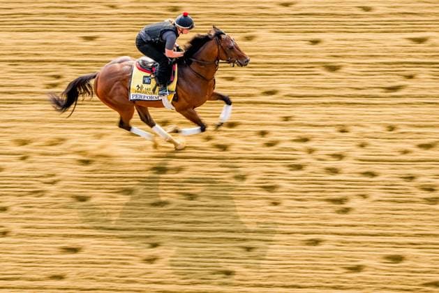 Sport Themen der Woche KW20 Sport Bilder des Tages May 17, 2023, Baltimore, MD, USA: Perform gallops during morning workouts at Pimlico Race Course as horses prepare for the Preakness Stakes in Baltimore, Maryland on May 17, 2023. Eclipse Sportswire CSM Baltimore USA - ZUMAcs17 20230517_zaf_cs17_039 Copyright: xScottxSeriox