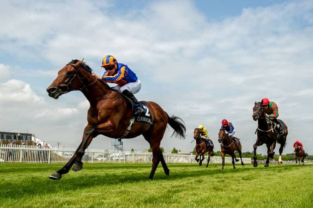 Sport Themen der Woche KW20 Sport Bilder des Tages EDITORIAL USE ONLY Naas Racing - Royal Ascot Trials Day 2023, Naas Racecourse, Naas, Kildare 21 5 2023 The Coolmore Stud Calyx Race Ryan Moore on River Tiber wins Ryan Moore on River Tiber comes home to win 21 5 2023  Copyright: x INPHO MorganxTreacyx EA3I7652