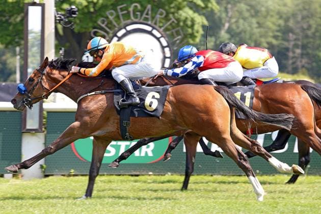Sport Themen der Woche KW21 Sport Bilder des Tages 28.05.2023, Hoppegarten, Brandenburg, GER - Fizzability mit Jozef Bojko gewinnt. Galopprennbahn Hoppegarten. (Pferd, Jockey, Fizzability, Bojko, Sieg, Ziel, Zielankunft) 230528D708HOPPEGARTEN.JPG *** 28 05 2023, Hoppegarten, Brandenburg, GER Fizzability with Jozef Bojko wins racecourse Hoppegarten horse, jockey, Fizzability, Bojko, victory, finish, finish 230528D708HOPPEGARTEN JPG