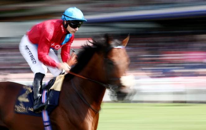 Sport Themen der Woche KW25 Sport Bilder des Tages Mandatory Credit: Photo by James Marsh Shutterstock (13977131bv) Bay Bridge ridden by Richard Kingscote before the Prince of Wales Stakes. Royal Ascot, Day Two, Horse Racing, Ascot Racecourse, Berkshire, UK - 21 Jun 2023 Royal Ascot, Day Two, Horse Racing, Ascot Racecourse, Berkshire, UK - 21 Jun 2023  Copyright: xJamesxMarsh Shutterstockx 13977131bv