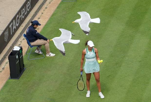 Sport Bilder des Tages Mandatory Credit: Photo by Dave Shopland Shutterstock (13984806a) Sea Gulls fly over Madison Keys in Ladies Singles Final Rothesay International Eastbourne, Tennis, Day Six, Devonshire Park, Eastbourne, UK - 01 Jul 2023 Rothesay International Eastbourne, Tennis, Day Six, Devonshire Park, Eastbourne, UK - 01 Jul 2023  Copyright: xDavexShopland Shutterstockx 13984806a