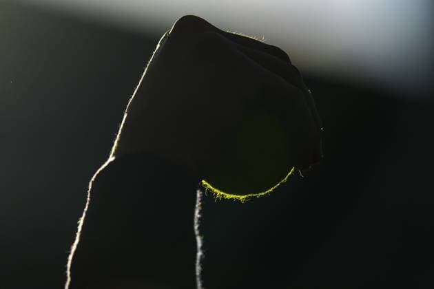 Mandatory Credit: Photo by Javier Garcia Shutterstock (13995913fs) Tennis ball in the hand of a ballboy Wimbledon Tennis Championships, Day 3, The All England Lawn Tennis and Croquet Club, London, UK - 05 Jul 2023 Wimbledon Tennis Championships, Day 3, The All England Lawn Tennis and Croquet Club, London, UK - 05 Jul 2023  Copyright: xJavierxGarcia Shutterstockx 13995913fs