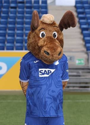 , TSG 1899 Hoffenheim . Porträttermin TSG 1899 Hoffenheim 2023-2024 . Zuzenhausen, GER, 01.08.2023 ,Fussball 1. Bundesliga 2023 2024 . Editorial use only !