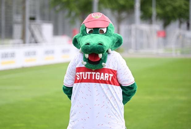 FUSSBALL 1. BUNDESLIGA SAISON 2023 2024 09.08.2023 Fototermin beim VfB Stuttgart auf dem Trainingsgelaende: VfB Maskottchen Fritzle