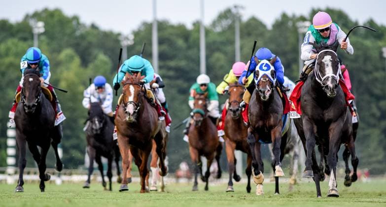Sport Themen der Woche KW32 Sport Bilder des Tages August 12, 2023, New Kent, Virginia, USA: Set Piece (GB) (3) ridden by Florent Geroux wins the Arlington Million (Grade 1) at Colonial Downs in New Kent, Virginia on August 12, 2023. SM New Kent USA - ZUMAcs17 20230812_faf_cs17_004 Copyright: xScottxSerio EclipsexSportswire Cx