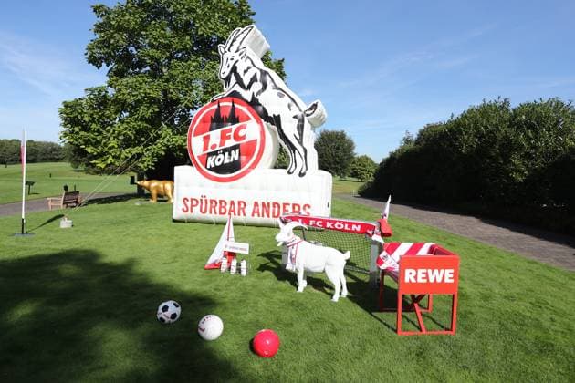 1. FC Köln 1. FC Köln, Gut Lärchenhof, FC-Fairways 2023, Golfen für den guten Zweck, 04.09.2023, Bild:
