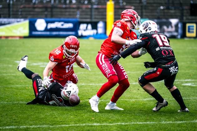 Erima German Football League Halbfinale 2023; Potsdam Royals - New Yorker Lions Braunschweig Erima German Football League Halbfinale 2023; Potsdam Royals - New Yorker Lions Braunschweig Copyright: xBEAUTIFULxSPORTS NicolxMarschallx