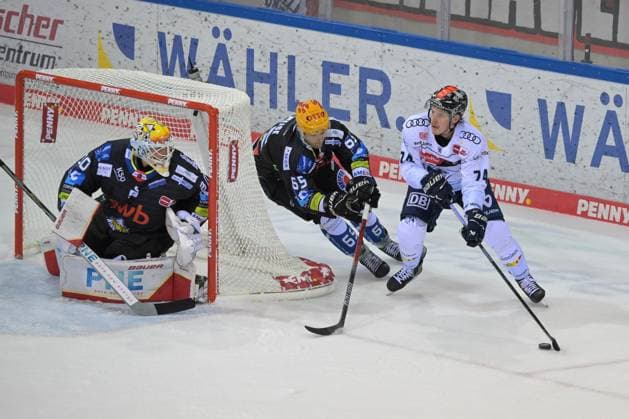 Sport Themen der Woche KW40 Sport Bilder des Tages v. li. im Zweikampf Christian Wejse (Fischtown Pinguins 65) mit Travis St Denis (ERC Ingolstadt 74), Fischtown Pinguins - ERC Ingolstadt , Eishockey, Deutsche Eishockey Liga, DEL, 03.10.2023 Bremerhaven Bremen Deutschland *** from left Christian Wejse Fischtown Pinguins 65 with Travis St Denis ERC Ingolstadt 74 , Fischtown Pinguins ERC Ingolstadt , Ice Hockey, German Ice Hockey League, DEL, 03 10 2023 Bremerhaven Bremen Germany Copyright: xkolbert-press BurghardxSchreyerx