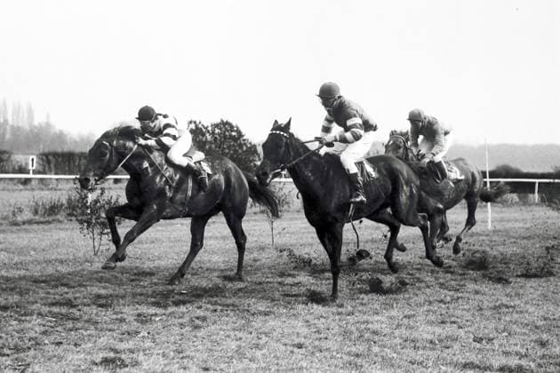 21.10.1972, Dresden, Bezirk Dresden, DDR - Saba (links) mit Martin Roelke gewinnt den Preis von Weixdorf. Galopprennbahn Dresden-Seidnitz. (Pferd, Jockey, Saba, Roelke, Sieg, Ziel, Zielankunft, historisch, schwarz-weiss) 721021A001DRESDEN.JPG *** 21 10 1972, Dresden, district Dresden, GDR Saba left with Martin Roelke wins the Prize of Weixdorf racecourse Dresden Seidnitz horse, jockey, Saba, Roelke, victory, finish, finish, historical, black white 721021A001DRESDEN JPG