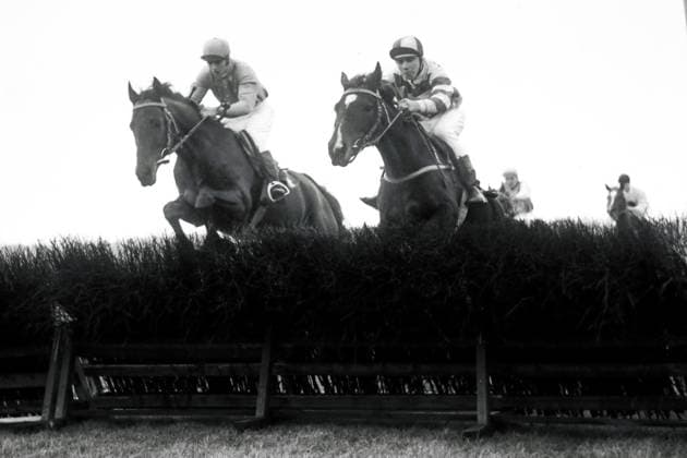 21.10.1972, Dresden, Bezirk Dresden, DDR - Pferde und Jockeys ueber einer Huerde. Galopprennbahn Dresden-Seidnitz. (Pferde, Jockeys, Huerde, Huerdenrennen, Hindernisrennen, Sprung, springen, historisch, schwarz-weiss, Sinfonie) 721021A011DRESDEN.JPG *** 21 10 1972, Dresden, district Dresden, GDR horses and jockeys over a hurdle racecourse Dresden Seidnitz horses, jockeys, hurdle, hurdle race, steeplechase, jump, jumping, historical, black and white, symphony 721021A011DRESDEN JPG