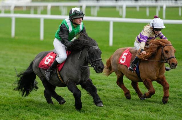 Sport Themen der Woche KW46 Sport Bilder des Tages Cheltenham November Meeting, Day Three, Horse Racing, Cheltenham, UK - 19 Nov 2023  Copyright: xDavexShopland Shutterstockx 14217966d