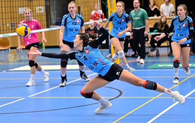 Sport Bilder des Tages 19.11.2023 - Volleyball - 2. Bundesliga Damen Frauen - Saison 2023 2024 - TV Suspa Altdorf - VC Wiesbaden II - - xwoxzix - Alina Hösch (4, TV Altdorf )