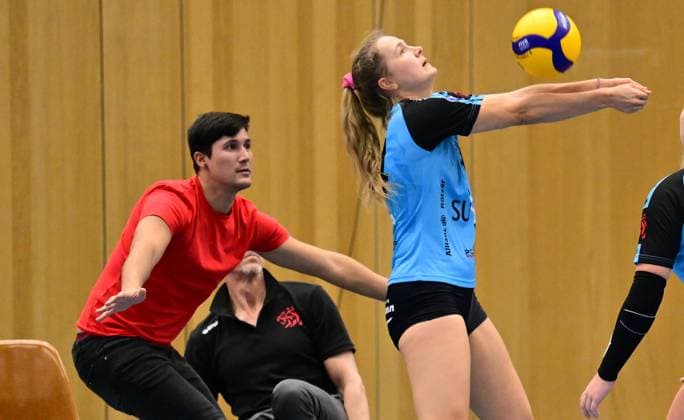 19.11.2023 - Volleyball - 2. Bundesliga Damen Frauen - Saison 2023 2024 - TV Suspa Altdorf - VC Wiesbaden II - - xwoxzix - Reinhardt Arndt (Co-Trainer TV Altdorf ) Nadja Nawrat (14, TV Altdorf )