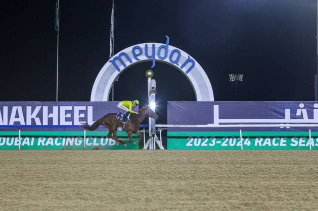 Sport Themen der Woche KW47 Sport Bilder des Tages Horse Racing, Meydan, Dubai, UAE - 24 Nov 2023  Copyright: xCedricxLane Shutterstockx 14225983u