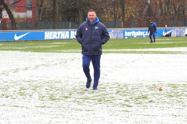 DEU, DFL, 2. FBL Hertha BSC, Training, 25.11.2023, Sportforum, Berlin, DEU, DFL, 2. FBL Hertha BSC, Training, im Bild Cheftrainer Pal Dardai (Hertha BSC Berlin), Schnee DFL - regulations prohibit any use of Photographs as image sequences and or quasi-video Foto: Juergen Engler nordphoto GmbH