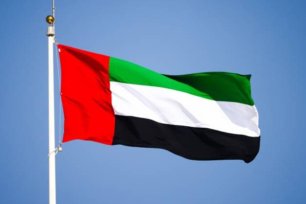 November 26, 2023, Abu Dhabi, United Arab Emirates: United Arab Emirates flag is seen ahead of Formula 1 Abu Dhabi Grand Prix at Yas Marina Circuit on November 26, 2023 in Abu Dhabi, United Arab Emirates. Abu Dhabi United Arab Emirates - ZUMAz156 0368014389st Copyright: xBeataxZawrzelx