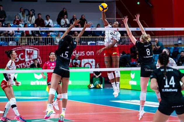 VBL Volleyball-Bundesliga; SC Potsdam - Rote Raben Vilsbiburg; 26.11.2023 VBL Volleyball-Bundesliga; SC Potsdam - Rote Raben Vilsbiburg; 26.11.2023 Copyright: xBEAUTIFULxSPORTS NicolxMarschallx