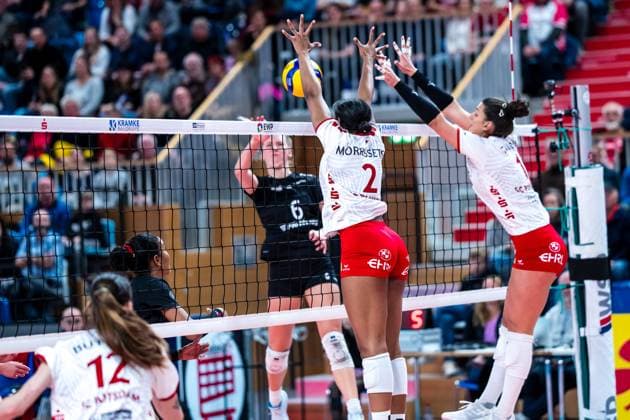 VBL Volleyball-Bundesliga; SC Potsdam - Rote Raben Vilsbiburg; 26.11.2023 VBL Volleyball-Bundesliga; SC Potsdam - Rote Raben Vilsbiburg; 26.11.2023 Copyright: xBEAUTIFULxSPORTS NicolxMarschallx