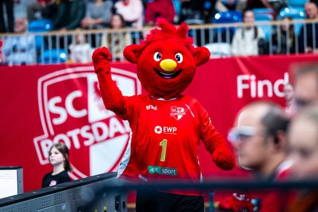 VBL Volleyball-Bundesliga; SC Potsdam - Rote Raben Vilsbiburg; 26.11.2023 VBL Volleyball-Bundesliga; SC Potsdam - Rote Raben Vilsbiburg; 26.11.2023 Copyright: xBEAUTIFULxSPORTS NicolxMarschallx