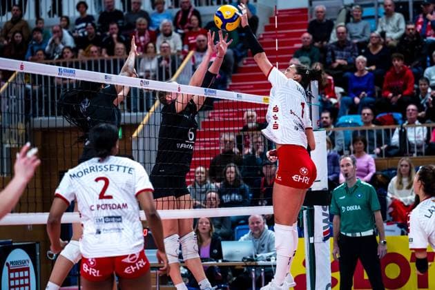 VBL Volleyball-Bundesliga; SC Potsdam - Rote Raben Vilsbiburg; 26.11.2023 VBL Volleyball-Bundesliga; SC Potsdam - Rote Raben Vilsbiburg; 26.11.2023 Copyright: xBEAUTIFULxSPORTS NicolxMarschallx