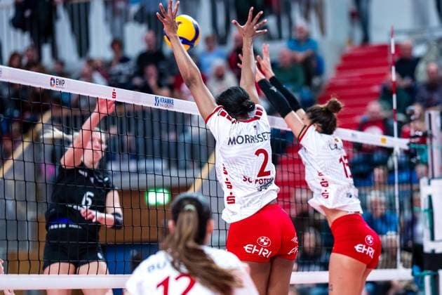 VBL Volleyball-Bundesliga; SC Potsdam - Rote Raben Vilsbiburg; 26.11.2023 VBL Volleyball-Bundesliga; SC Potsdam - Rote Raben Vilsbiburg; 26.11.2023 Copyright: xBEAUTIFULxSPORTS NicolxMarschallx