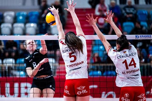 VBL Volleyball-Bundesliga; SC Potsdam - Rote Raben Vilsbiburg; 26.11.2023 VBL Volleyball-Bundesliga; SC Potsdam - Rote Raben Vilsbiburg; 26.11.2023 Copyright: xBEAUTIFULxSPORTS NicolxMarschallx