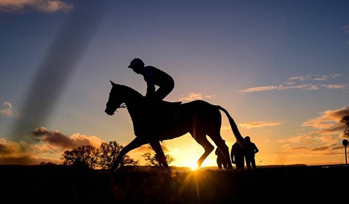 Bilder des Jahres 2023, Sport 12 Dezember Sport Themen der Woche KW50 Sport Bilder des Tages Taunton Races, Taunton, UK - 14 Dec 2023 The field makes it way to the start ahead of the last race of the day. - RACE 8 - 3:50 Taunton - Christmas Meeting 30th December Handicap Hurdle (Class 5) at Taunton Racecourse, Taunton, Somerset, England - Taunton Taunton Racecourse Somerset England Copyright: xTomxSandberg PPAUKx PPA-075290