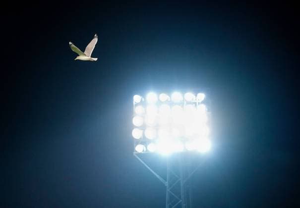 Sport Themen der Woche KW50 Sport Bilder des Tages Gulls fly above the floodlights at Pittodrie Stadium. Aberdeen v Eintracht Frankfurt, UEFA Europa Conference League, Group G, Football, Pittodrie, Aberdeen, UK - 14 Dec 2023 EDITORIAL USE ONLY No use with unauthorised audio, video, data, fixture lists, club league logos or live services. Online in-match use limited to 120 images, no video emulation. No use in betting, games or single club league player publications.  Copyright: xStuartxWallace Shutterstockx 14254252n
