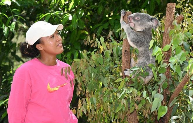 TENNIS NAOMI OSAKA BRISBANE INTERNATIONAL, Naomi Osaka is seen with Milton the Koala during a visit to Lone Pine Koala Sanctuary in Brisbane, Friday, December 29, 2023. Naomi Osaka will be playing in the Brisbane International tennis tournament after taking a long break from tennis after having her baby daughter Shai. ( NO ARCHIVING, EDITORIAL USE ONLY, NO USE IN BOOKS WITHOUT CONSENT BRISBANE QUEENSLAND AUSTRALIA  Copyright: xDARRENxENGLANDx 20231229001882855405